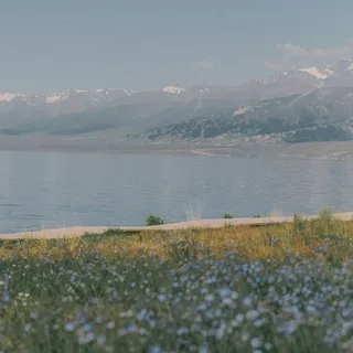 Лис что-то делает •-•