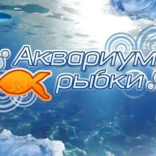 (Рест.)Аквариум рыбки!🐟