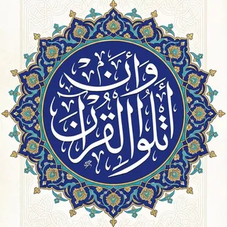 وَأن أتلُوَ القُرآنَ | عمرو الشرقاوي