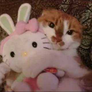 Copium Meow