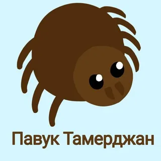 Рест| Павук Тамерджан