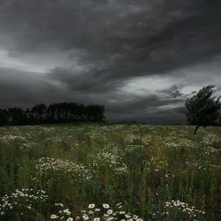 Алукард.