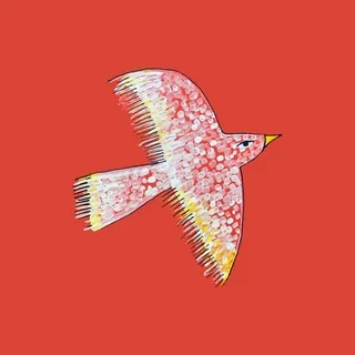 Лекции на траве | Тбилиси