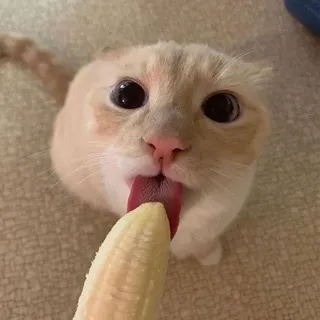Oʰ SHᐞↁO⋈⌊ORↁ 18+
