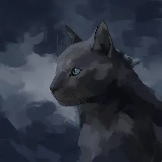 blackshadow_