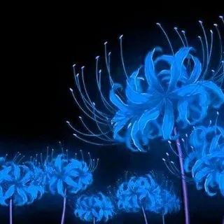 ⊱‌𝅄 ִᤳ۫︵۫ E᥎ᥱᥒiᥒg ᧐f ⲙᥱᥱᴛiᥒgs... союзы Странника