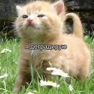 Название канала