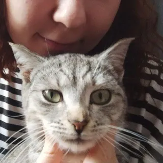 сомачмани