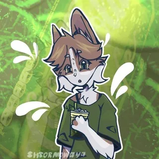 ⋆ჽ𝒉𝒕𝒐𝒓𝒎𝒐𝒘𝒂𝒚𝒂⋆ˢᵗᵃʳ⊰