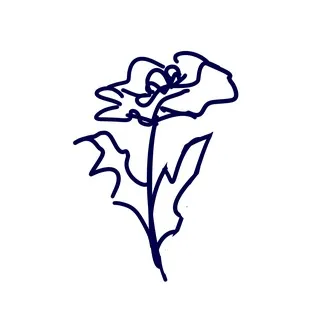 хатеку