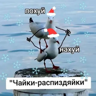 ❄️🐀Пошло-поехало🦇🎄