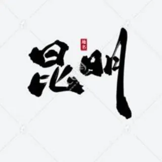 昆明极品公开