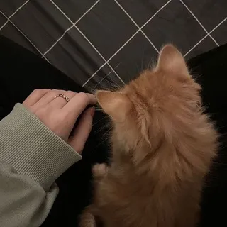 🧸edri.my | мастерская эдри🎀🎨