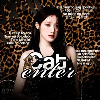 Cat entertainment 🐾
