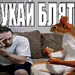 белка