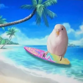 lana's life🥥🌺🐚