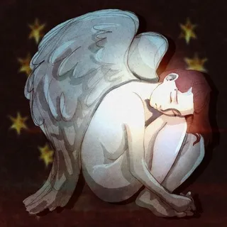 Журнал забытой птицы 🐦‍🔥