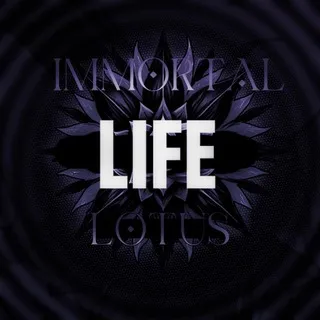 |𝚏𝚛𝚎𝚎𝚣𝚒𝚗𝚐| 👾 𝗜𝗠𝗠𝗟𖤓𝗧 𝗟𝗜𝗙𝗘