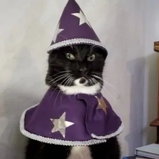 ed