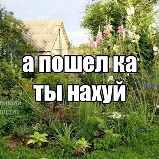 Хиханьки хаханьки