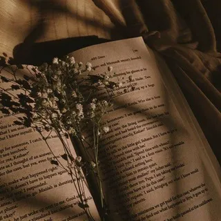 Amantes de la lectura✨