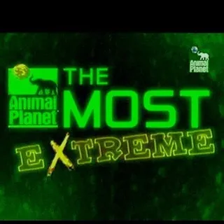 Animal Planet Al Extremo