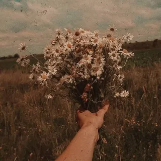 🌱𖡼.𖤣𖥧~Ɠαϸɾʝεɭ Ϝσʂʈεɾ~𖥧𖤣.𖡼
