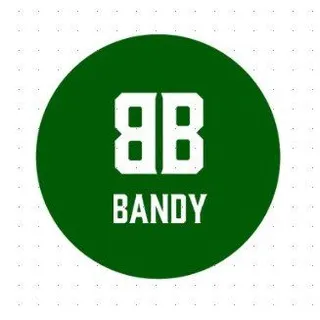 Вечерний Bandy