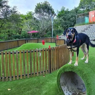 Curridabat