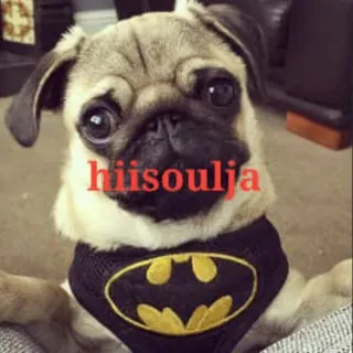 hiisoul¿a