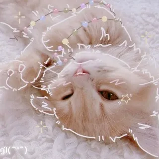 Ⲙⲉⲯⲇⲩ ⲥⲧⲣⲟⲕ
