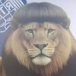 боберность