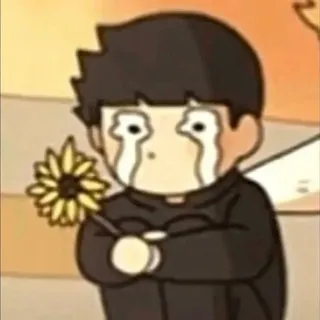 🌼flopiopi🌼