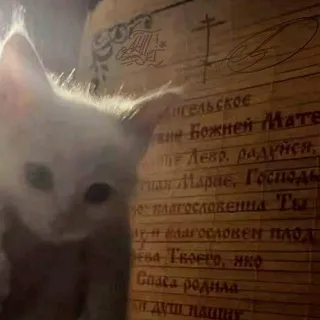 НАСЛЕДНИКИ! ПСКсталкер