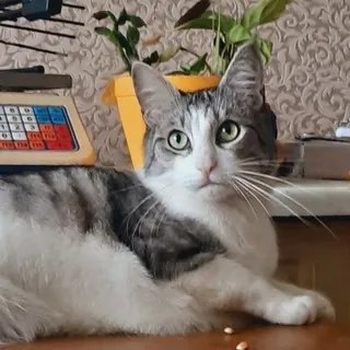 Антисовершеннолетняя🔞