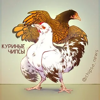куриные чипсы