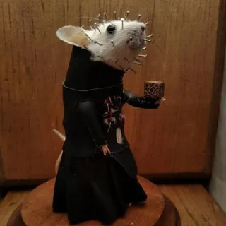 Rattus