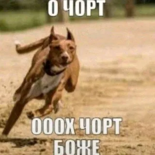 Переходник хейт са##суги кф