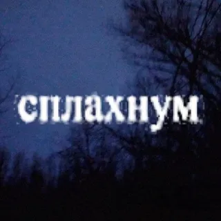 ㅤㅤㅤ