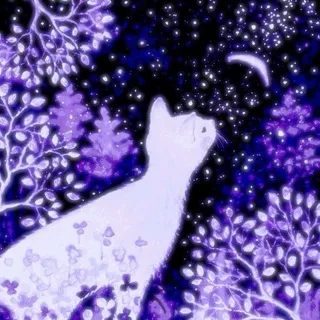 🌌Midnight bloom🌸