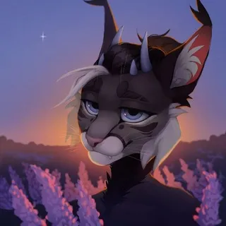 ~•°SITRA°•~