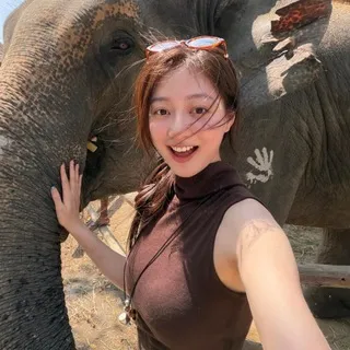 你难道比大象还大吗？