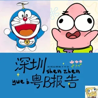 深圳粤B修车报告
