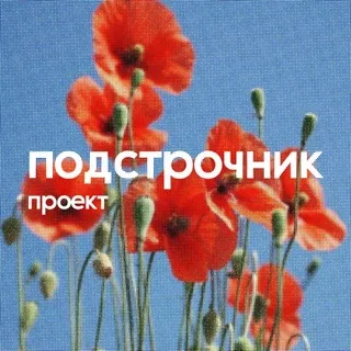 подстрочник