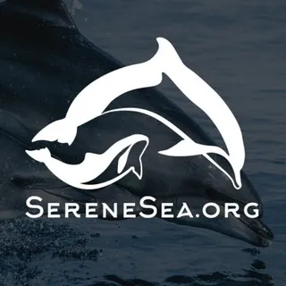 Центр «Безмятежное Море» 🐬