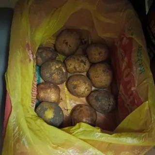 гробы демки жека400кг