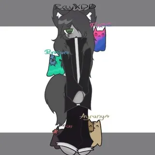 Рейхдд