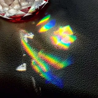 🌈 Мемуары (не)свободной рыси