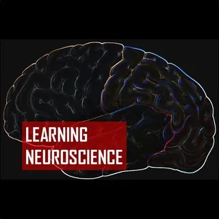 Learning Neuroscience 🧠🔬