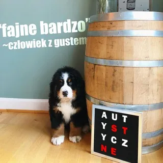 Autystyczne 🏳️‍🌈